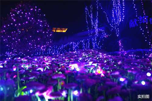 苏州恒大悦珑湾国际灯光艺术节为您带来不一样的浓情仲夏夜！(图)