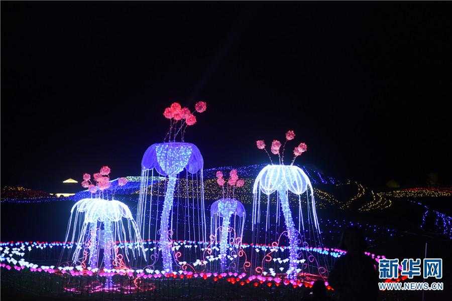 2018中国·丽江雪山小镇文化旅游节暨首届雪山花海灯彩嘉年华启幕（图）