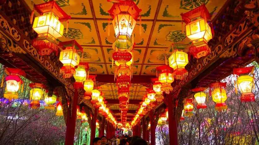 自贡灯会，光彩耀世界（图）